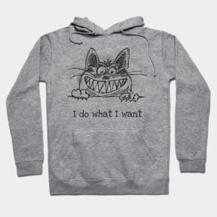 I do what I want Hoodie